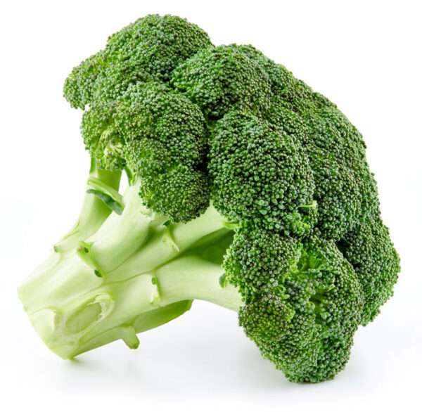 Raw Broccoli Isolated