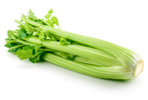 Celery Isolated On White Background