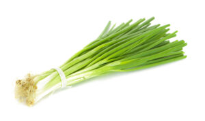 Green Onion Isolated On The White Background