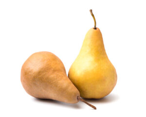 Bosc Pears Isolated On A White Background