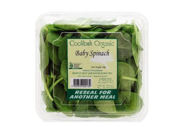 Coolibah Baby Spinach